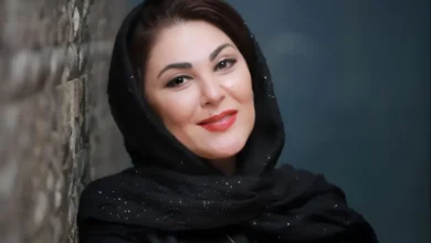 شهاب حسینی