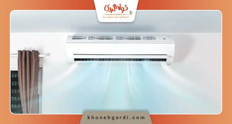 فیله مرغ