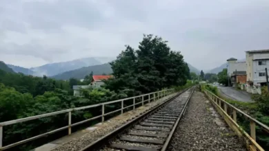 ترور