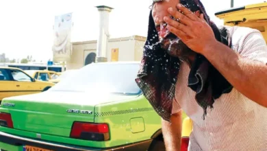 سلامت مغز