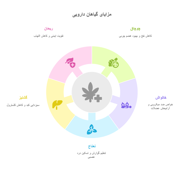 زیتون پرورده