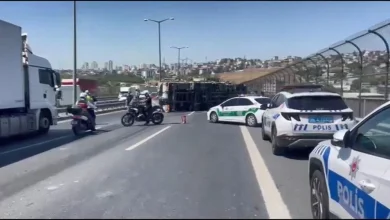 ترافیک