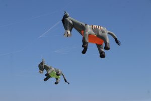 بادبادک‌