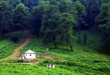 نیسان آبی