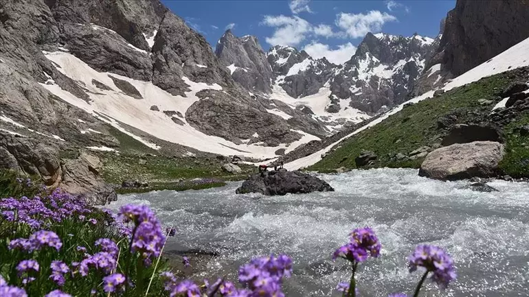 هاکاری