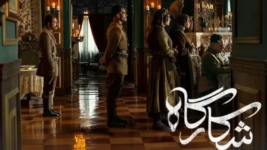 پیمان معادی