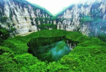 جوجه دیگی