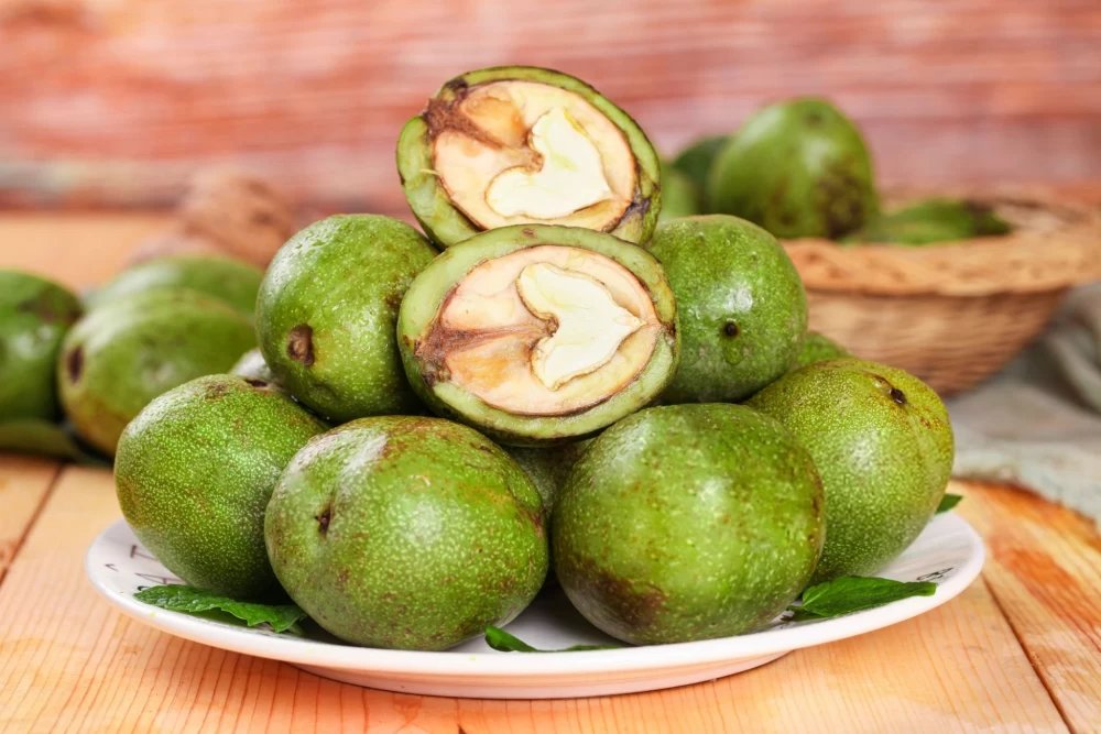 گردو