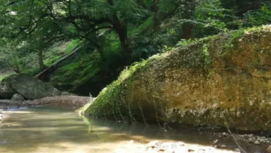 نشست دوحه