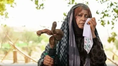 مینی سریال