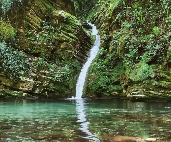 آبشار کیامید