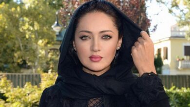 شهاب حسینی