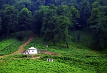 واکسن