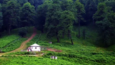 واکسن