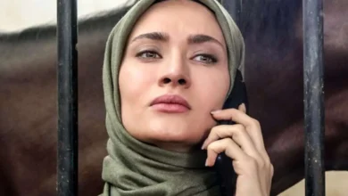 شهاب حسینی