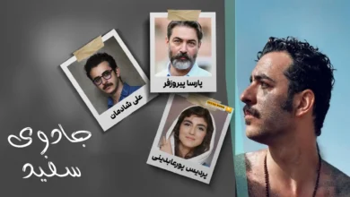 شهاب حسینی