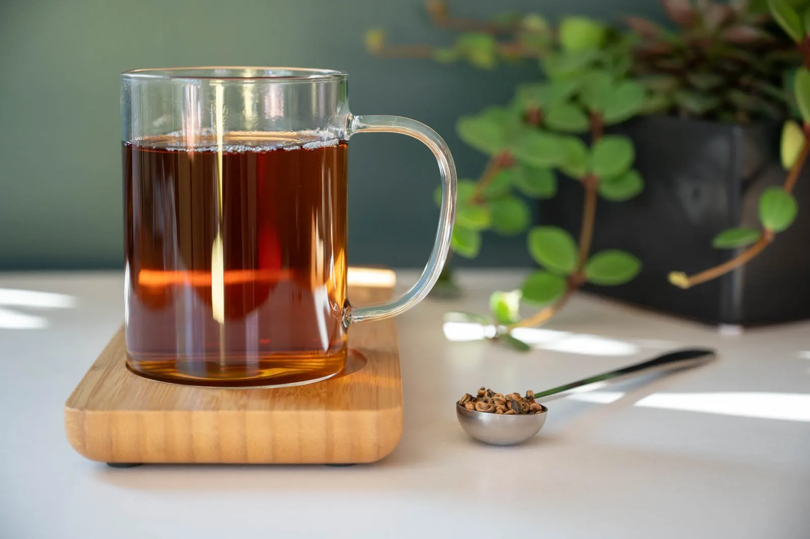 5 اشتباه رایج که چای را به سم تبدیل می‌کند