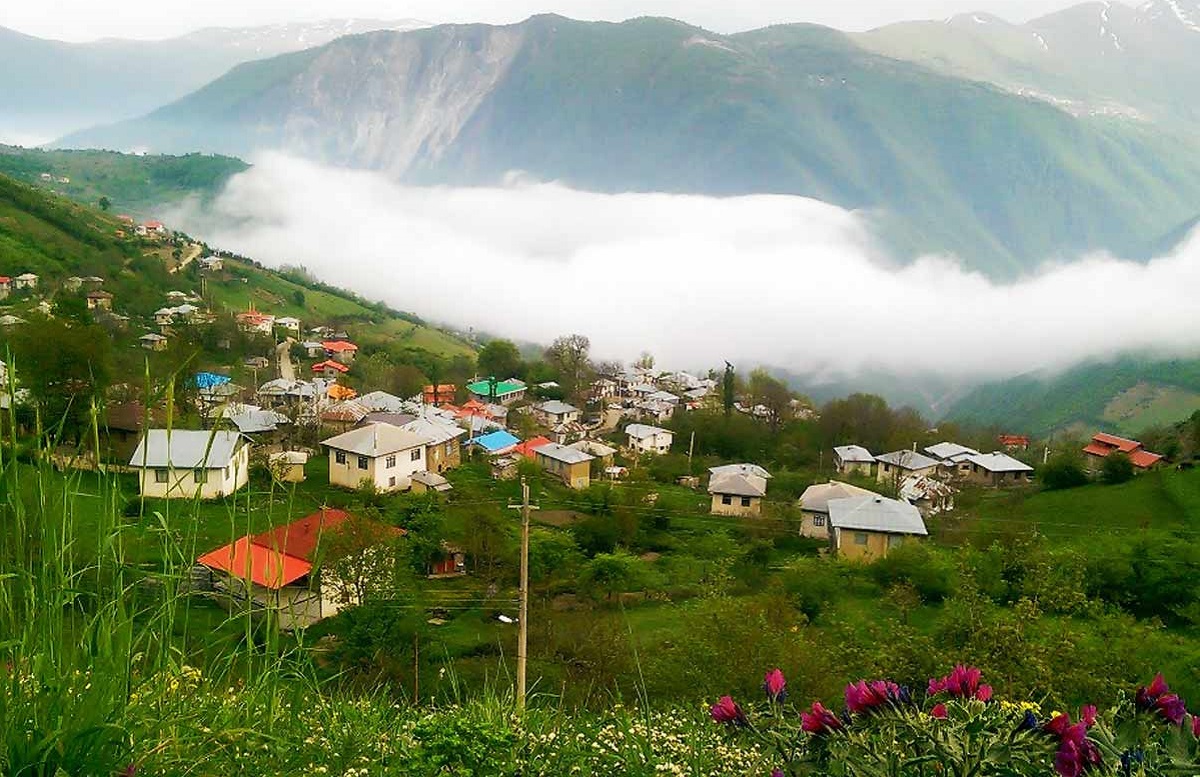 جنگل دالخانی