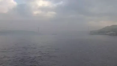 68b29d9da362490a46fb5103