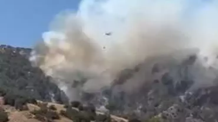 آتش سوزی
