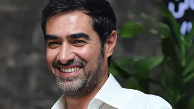 شهاب حسینی