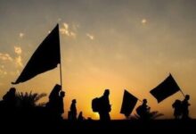 پیش فروش