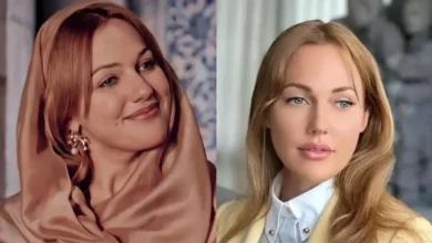 مینی سریال