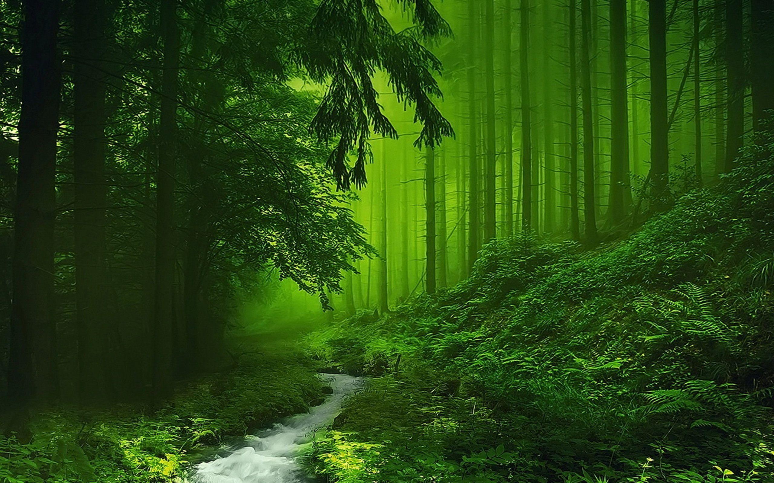 شخصیت شناسی