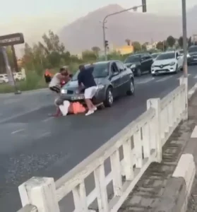 گردشگر