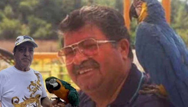 طوطی