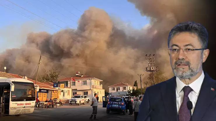 جنگل