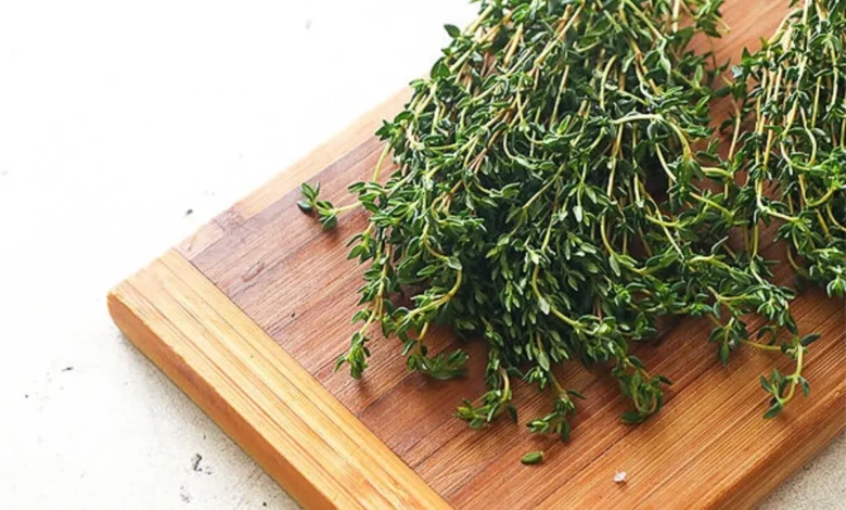 گیاه دارویی
