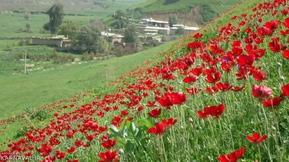 مسافرت تابستانی