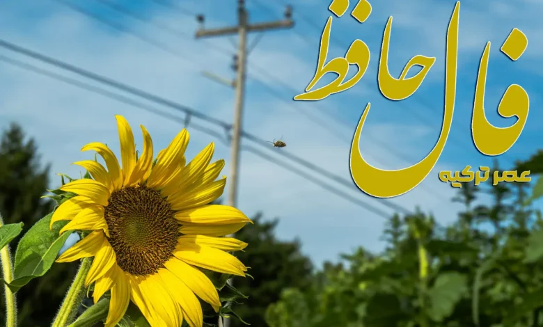 فال حافظ 13 مرداد 1404