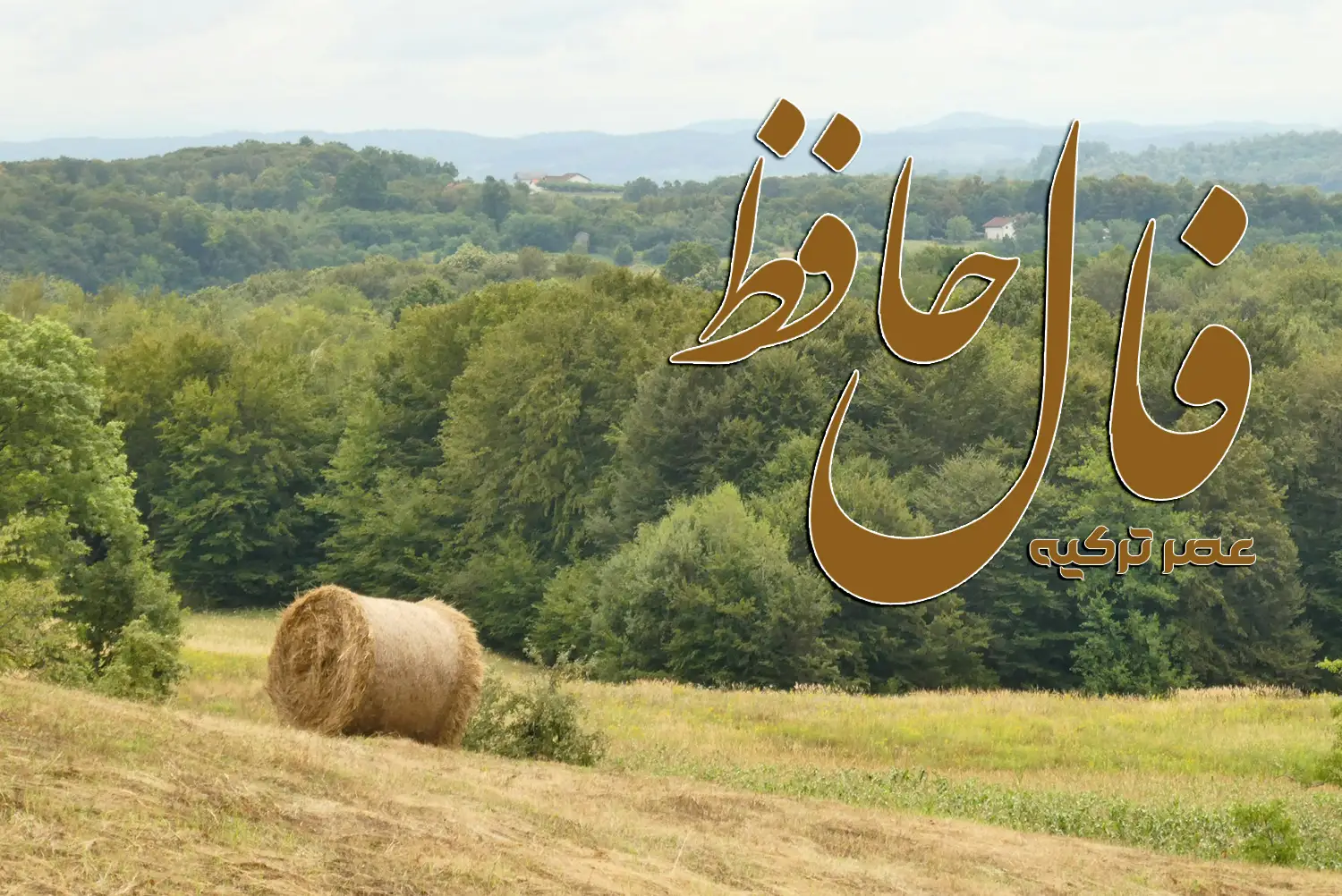 فال حافظ 16 مرداد 1404
