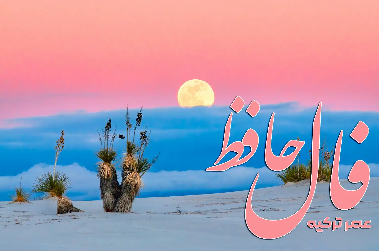 فال حافظ 18 مرداد 1404