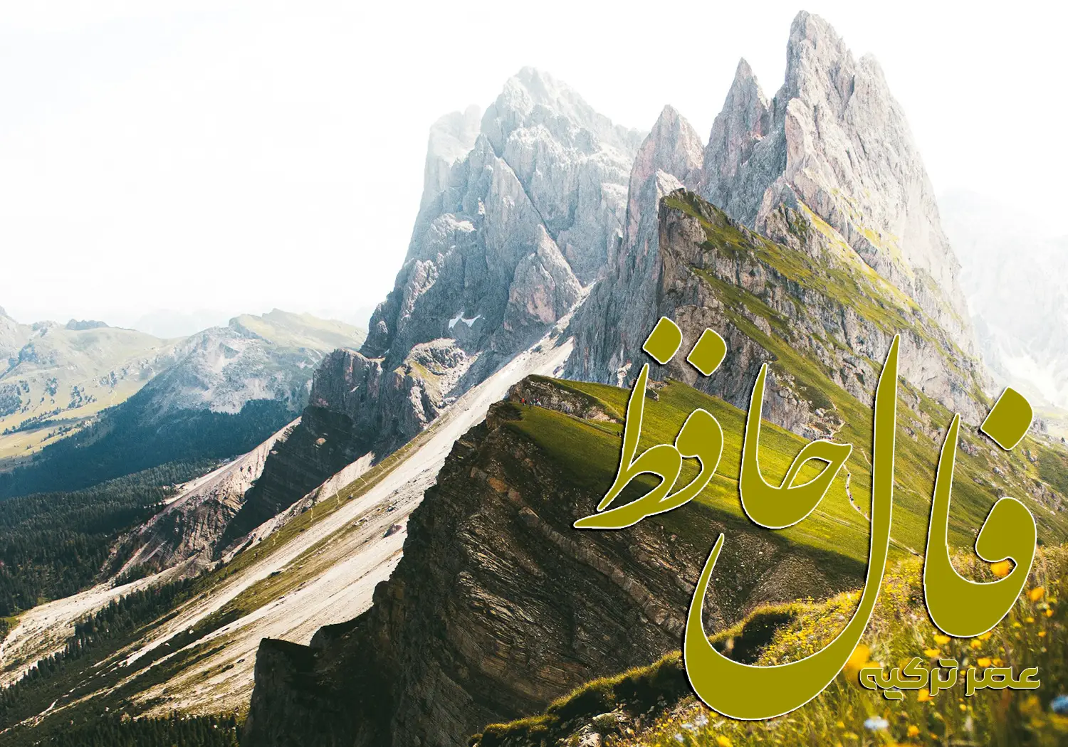 فال حافظ 31 مرداد 1404