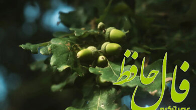 فال حافظ 23 مرداد 1404