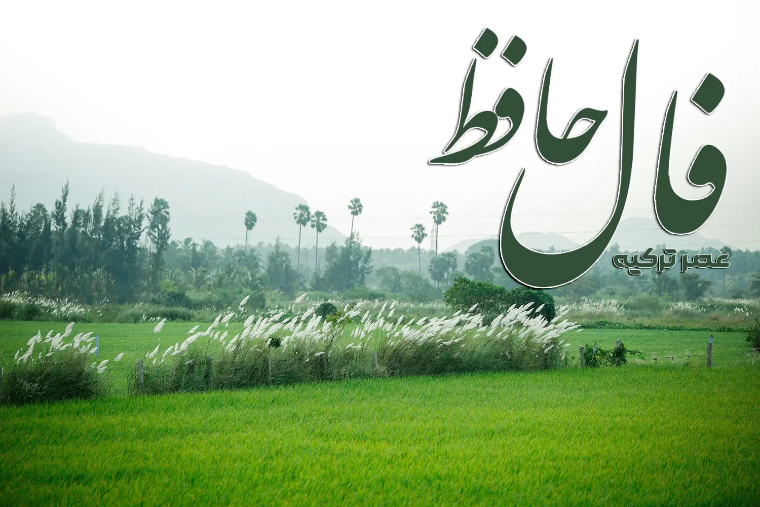 فال حافظ 24 مرداد 1404