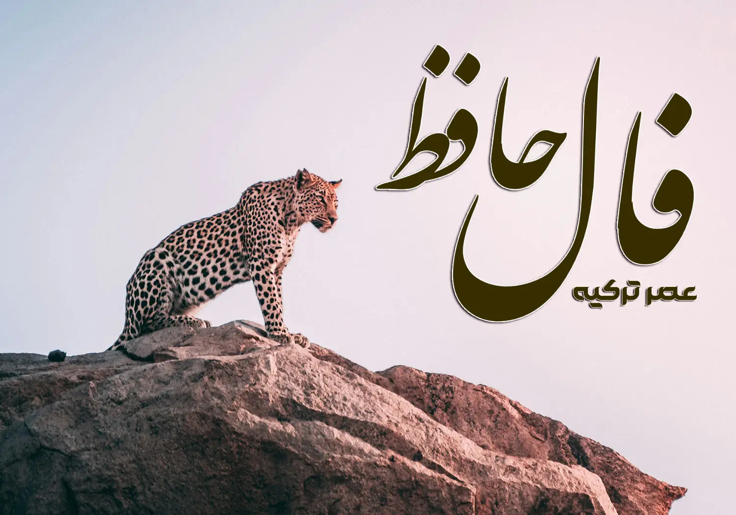 فال حافظ 28 مرداد 1404
