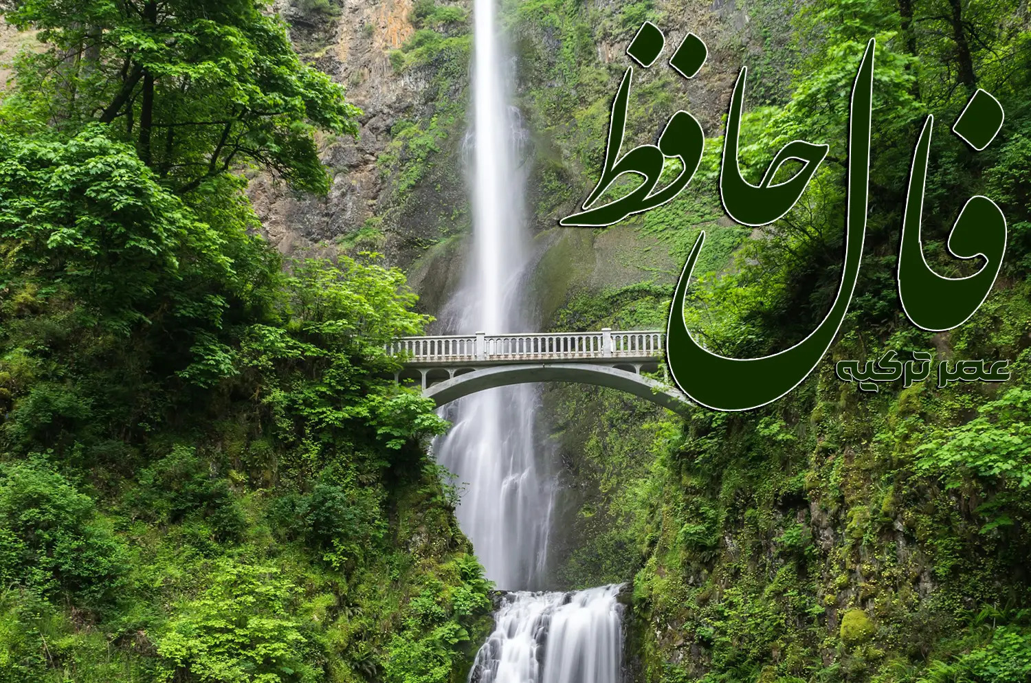 فال حافظ 29 مرداد 1404