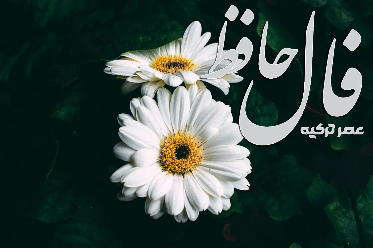 فال حافظ 3 شهریور 1404