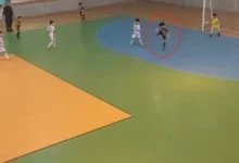 هالند