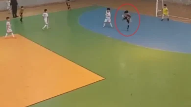هالند