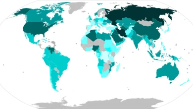 وزیر انرژی و منابع طبیعی ترکیه