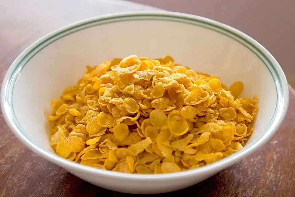 کورن فلکس
