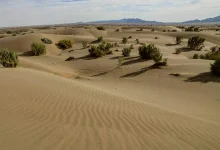 باغ شازده در ایران