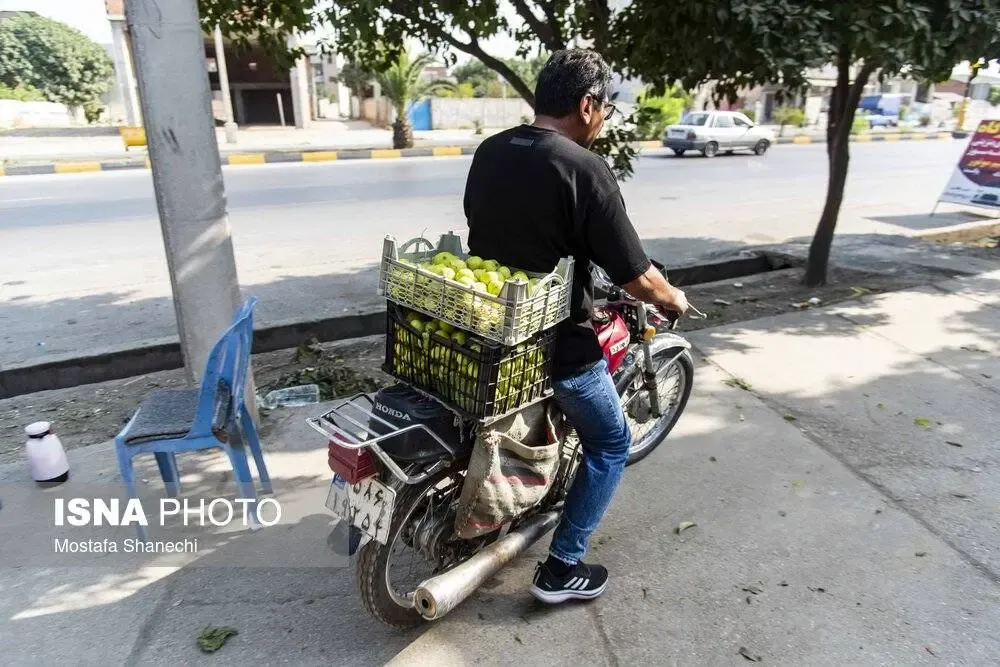 شهر انجیر