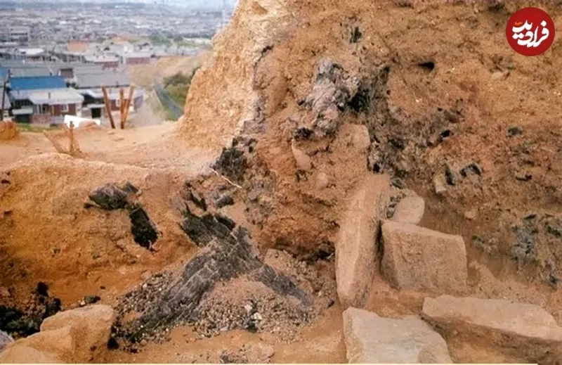اینستاگرام