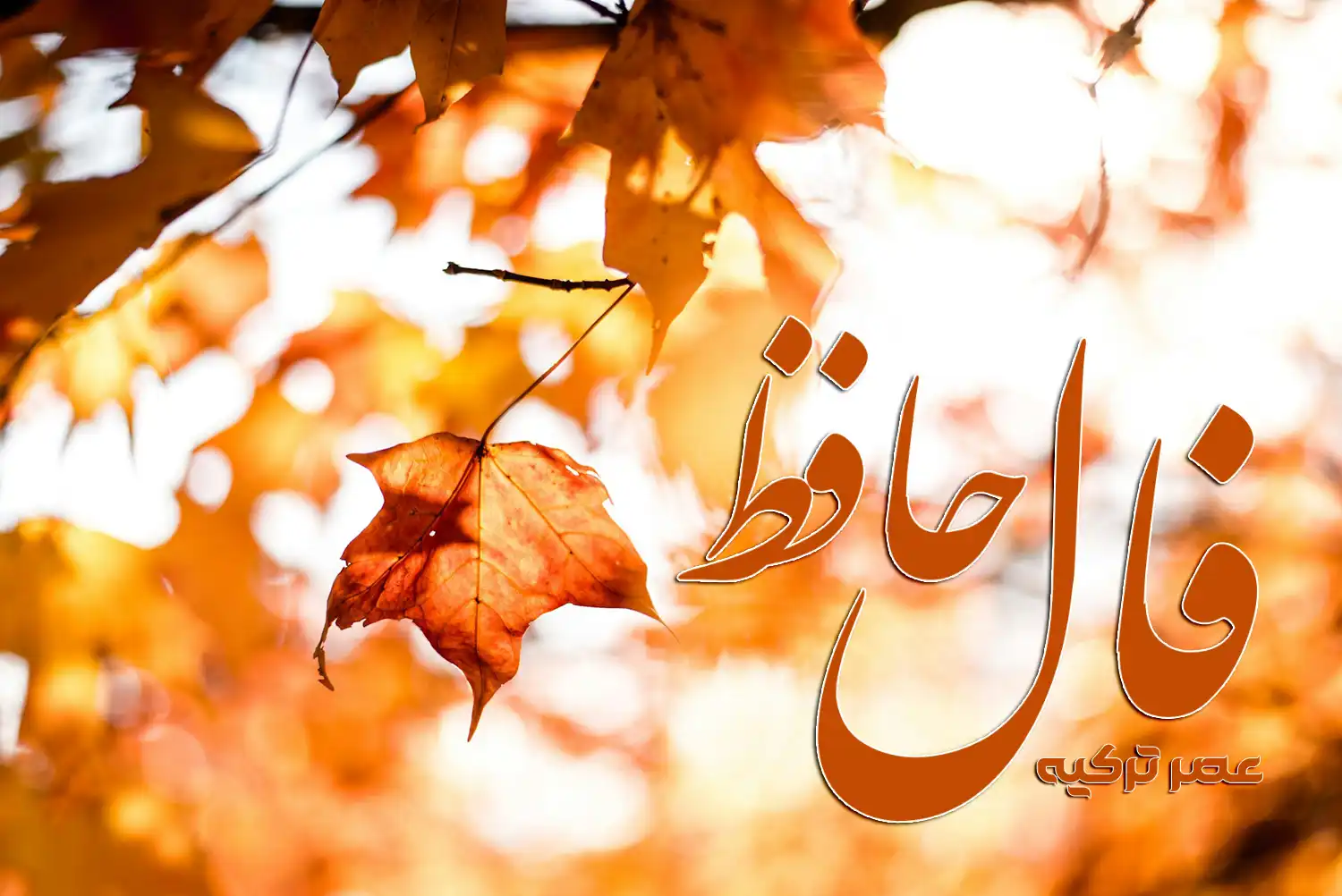 فال حافظ امروز ۱ مهر ۱۴۰۴